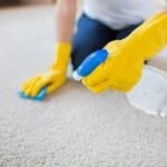 Carpet Cleaning