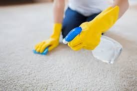 Carpet Cleaning